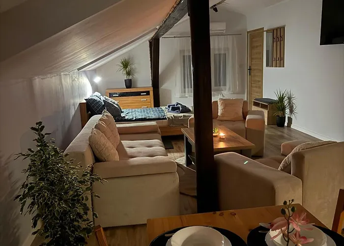 アパート Szmer Olzy