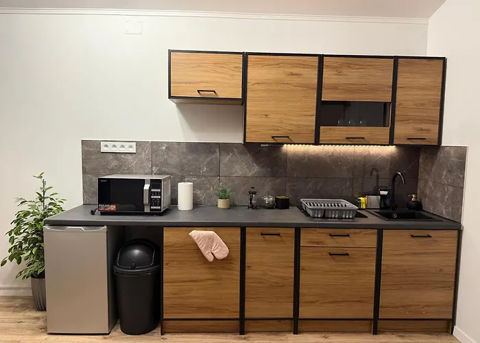 アパート Szmer Olzy イステブナ